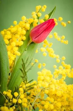 Spring bouquet Foto stock