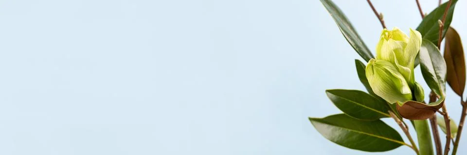 Spring bouquet Stock Photos