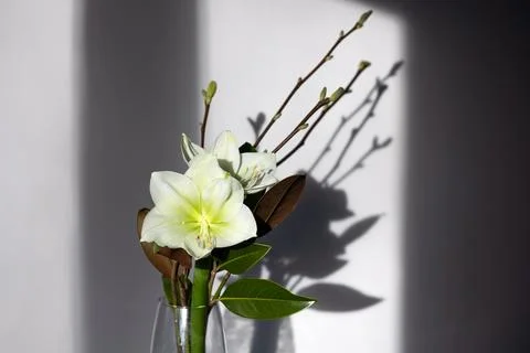 Spring bouquet Stock Photos