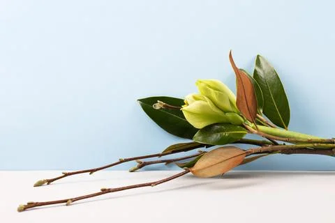 Spring bouquet Stock Photos
