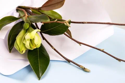 Spring bouquet Stock Photos
