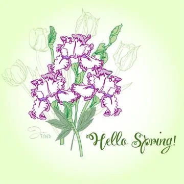 Spring bouquet  with three irises. Stock Illustration
