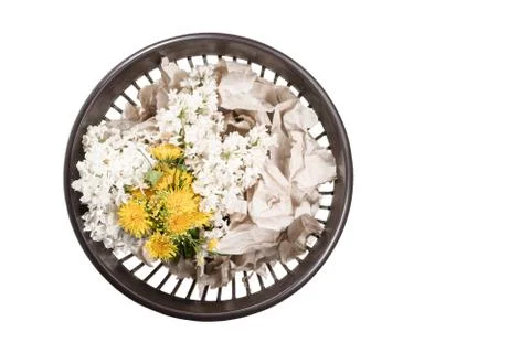 Spring bouquet in the trash Stock Photos