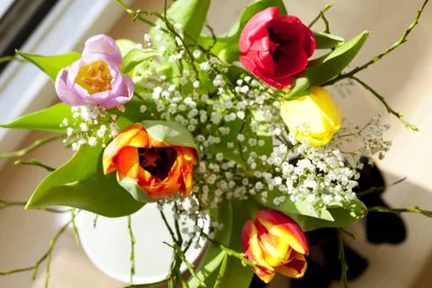 A spring bouquet with tulips Stock-Fotos