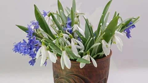 Spring bouquet in a vase Stock Footage 331394938