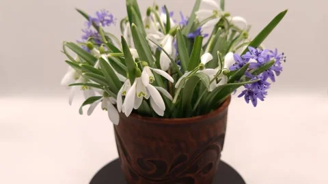 Spring bouquet on a white background Stock-Footage 331394880