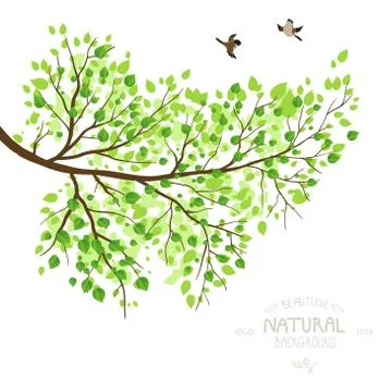 Spring branch Stock Illustration