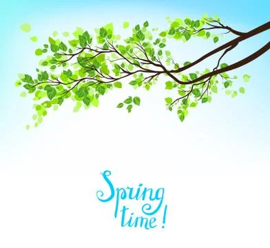 Spring branch Stock Illustration