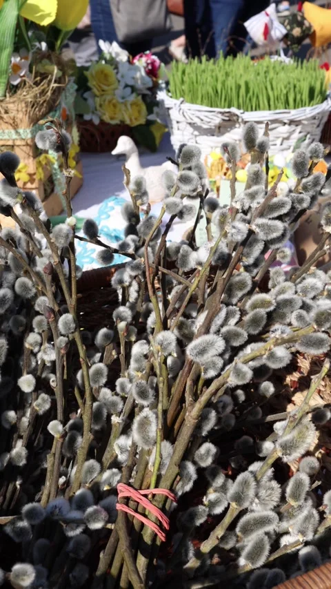 Spring branches and Easter market decor Vídeos de archivo 331812066