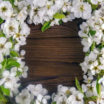 Spring branches of a blooming apple tree with white flowers on a rustic woode Stock Photos