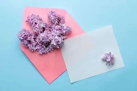 Spring branches of lilac and an envelope with a blank for text on a blue back Stock Photos