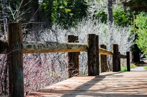 Spring bridge Fotos de archivo