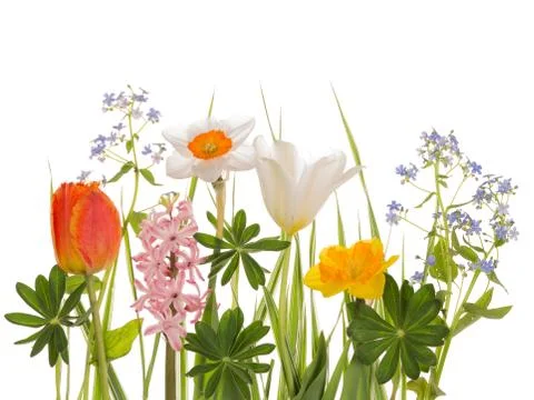 Spring bright bouquet Stock Photos
