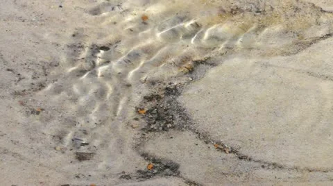 Spring brook with amber grain Stock Footage 22225951