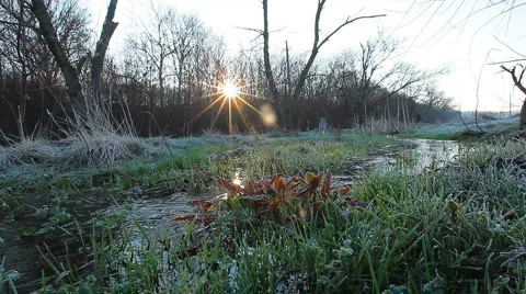 Spring brook Stock Footage 3376146
