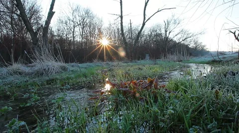 Spring brook Stock Footage 3376293