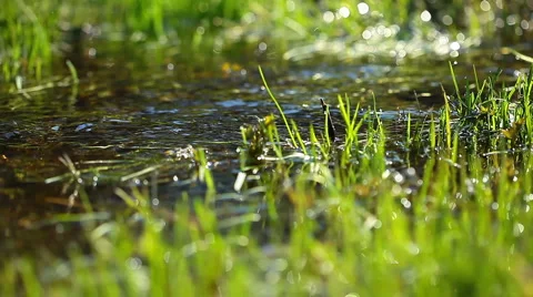 Spring brook Stock Footage 4280338