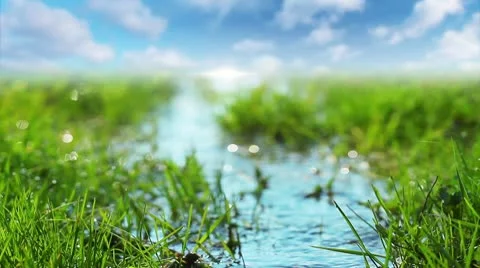 Spring brook Stock Footage 10686441