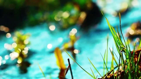 Spring brook Stock Footage 84239351