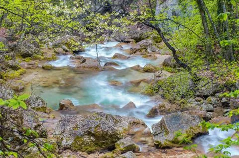 Spring brook Stock Photos