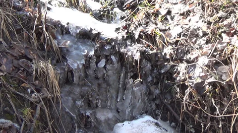 Spring Brook, the water flows between the snow Stock Footage 36036508