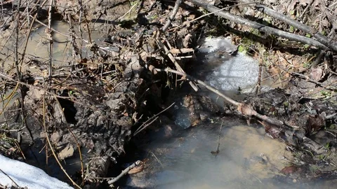 Spring Brooks flow after melting snow, the water is turbid Stock Footage 88608796