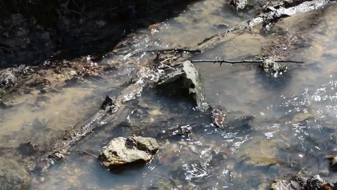 Spring Brooks flow after melting snow, the water is turbid Stock Footage 88608803
