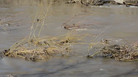 Spring Brooks flow after melting snow, the water is turbid   Stock Footage 95453097