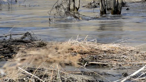 Spring Brooks flow after melting snow, the water is turbid   Stock Footage 95453109