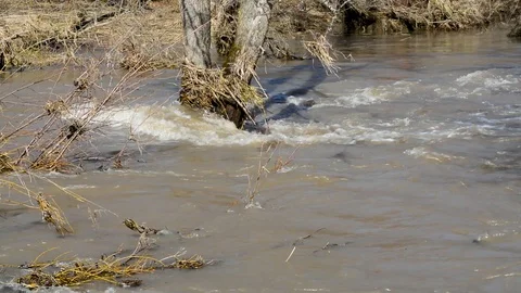 Spring Brooks flow after melting snow, the water is turbid Stock Footage 96186841