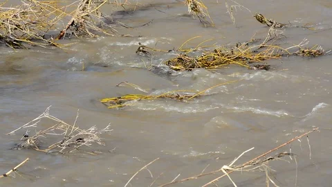 Spring Brooks flow after melting snow, the water is turbid Stock Footage 96186863