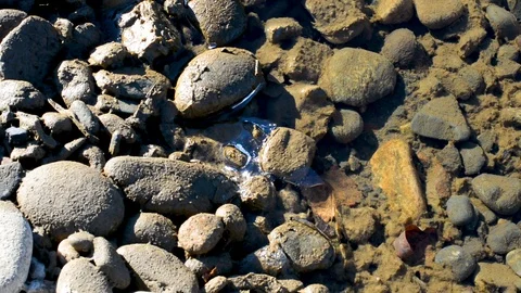 Spring Brooks flow after melting snow, the water is turbid Stock Footage 102244356