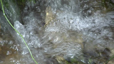 Spring Bubbles Video stock 35288250