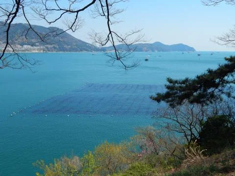 Spring in Busane Foto stock