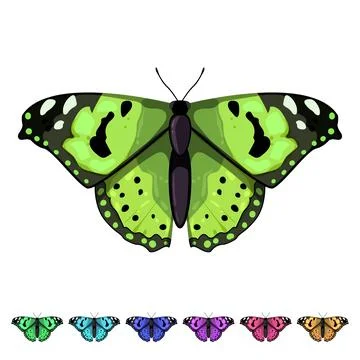 Spring butterfly cartoon vector graphic Illustrazione stock