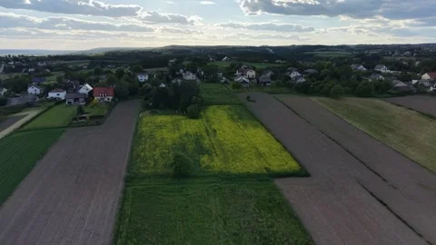 Spring canola field surrounded by green forest Stock Footage 348195461