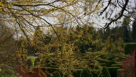 Spring Canopy Overlooking Lush Garden Maze Stock Footage 256955214