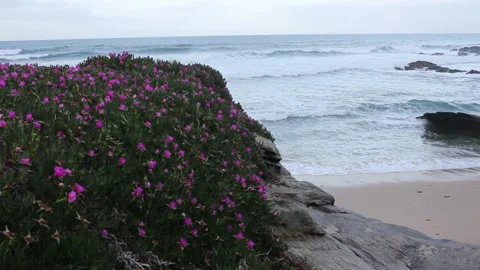 Spring in the Cantabrian coast of Spain Video stock 273119308