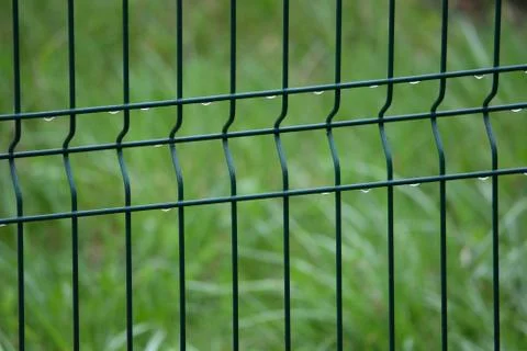 Spring captured. Grid fence with raindrops against lush green background Stock Photos
