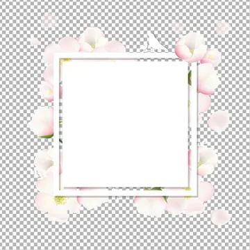 Spring Card With Apple Tree Flowers Stock Illustration