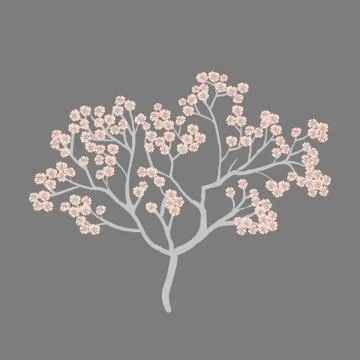 Spring card with Cherry Blossom Spring Flower tree Stock Illustration
