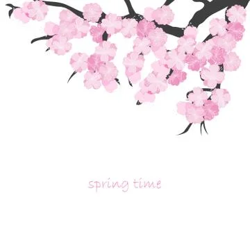 Spring card with cherry branch Stock Illustration