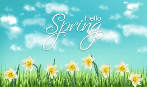 Spring card narcissus flower fields and blue sky Vector realistic イラスト素材