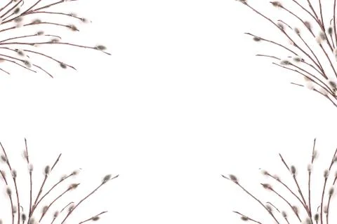 Spring card template. Flat position of flowering branches on a white backgrou Stock Photos