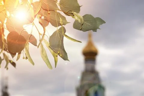 Spring cathedral sunset tree Foto stock