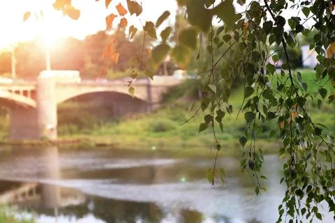 Spring cathedral sunset tree 写真素材