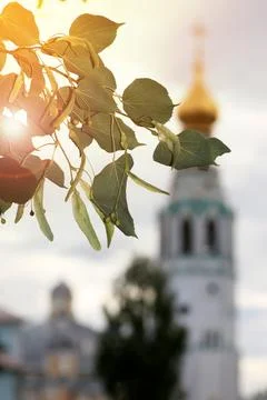 Spring cathedral sunset tree Stock Photos