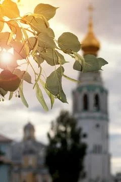 Spring cathedral sunset tree Foto stock