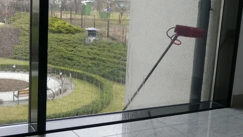 Spring catkins Stock-Footage 75493350