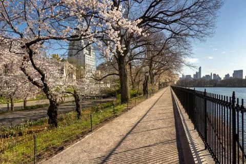 Spring in Central Park and Upper East Side. New York Stock-Fotos